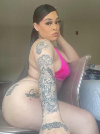 3462849428, female escort, New Orleans